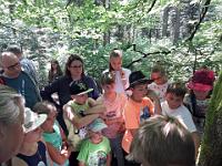 20180708 151314  IICSA