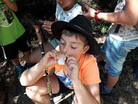 20180708 154124  IICSA���II