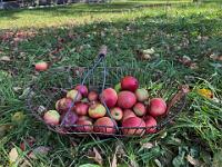 img 2771-bright-sat-contrast 6r4ewbum 1