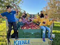 img 2793-contrast-adjust-horizon 1fju3kh6 1