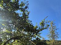 pxjj5198-adjust-horizon-cut v0dvy1jd 1