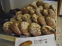 dsc 0724-cut-adjust-contrast jpfubb2u 1