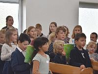 dsc 0931-adjust-contrast-cut y5v4gfz6 1