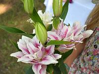 dsc 0852-cut u29ct0lz 1