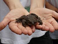 2010-7-16-17 Kids-Aktiv 041