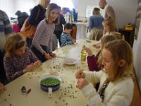 dsc 0993-contrast-adjust-horizon lnmgdfec 1