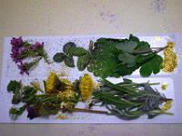 dsc 1037-contrast-adjust-horizon qzrd12ov 1